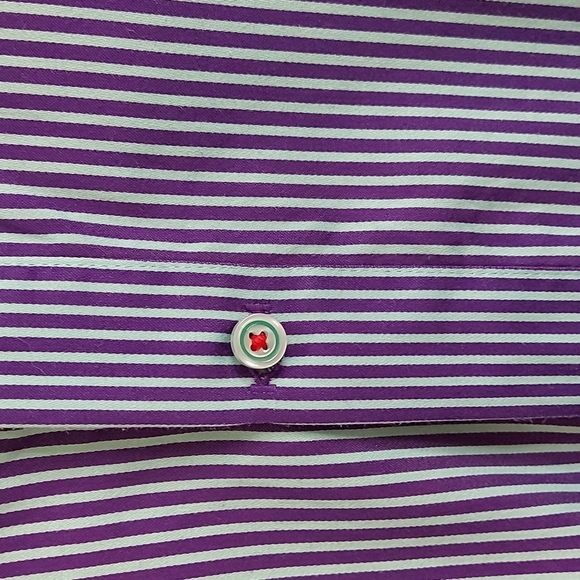 Robert Graham Mint/Purple Striped Long Sleeve Button Down Shirt Size L - Picture 8 of 9